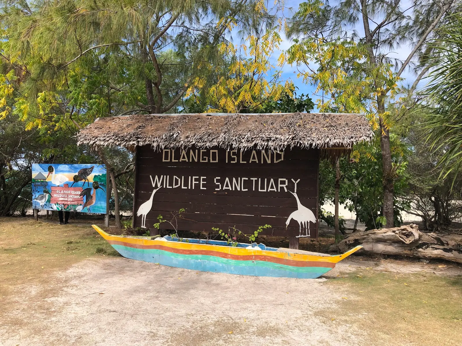 Olango Island Firefly & Wildlife Tour